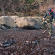 Image for article titled 30 years later, photos from the Exxon Valdez spill remain haunting
